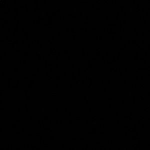 Meet your Posher, Jesus